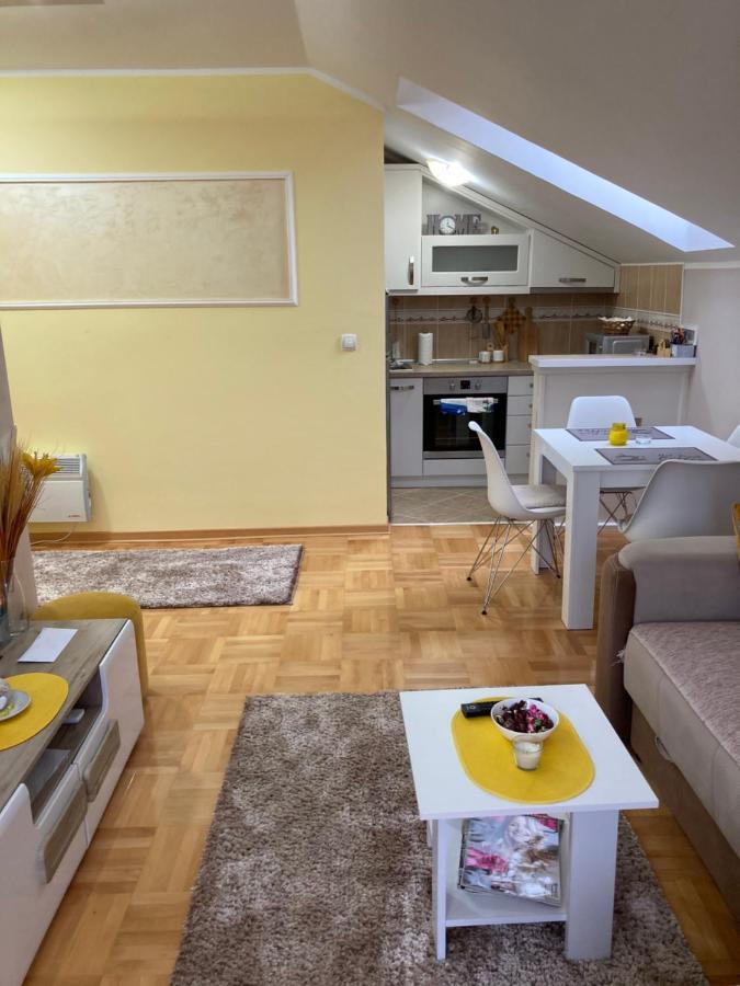 Vrnjačka Banja Apartmani Grand Lux מראה חיצוני תמונה